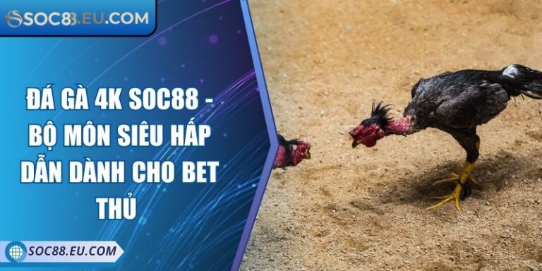 Đá Gà 4k SOC88 - Bộ Môn Siêu Hấp Dẫn Dành Cho Bet Thủ  3 Đá Gà 4k SOC88 - Bộ Môn Siêu Hấp Dẫn Dành Cho Bet Thủ